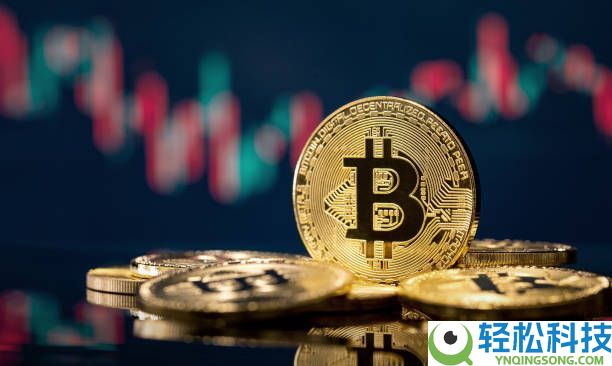 加密货币基础知识：初学者和投资者的终极指南