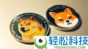 加密货币基础知识：初学者和投资者的终极指南