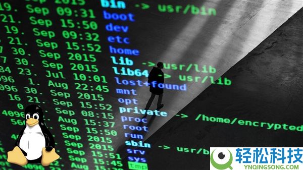 AMD副总裁完全用AI写了个显卡驱动,但和你想的不太一样
