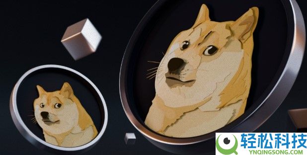 2025狗狗币值得投资吗？狗狗币风险与发展潜力