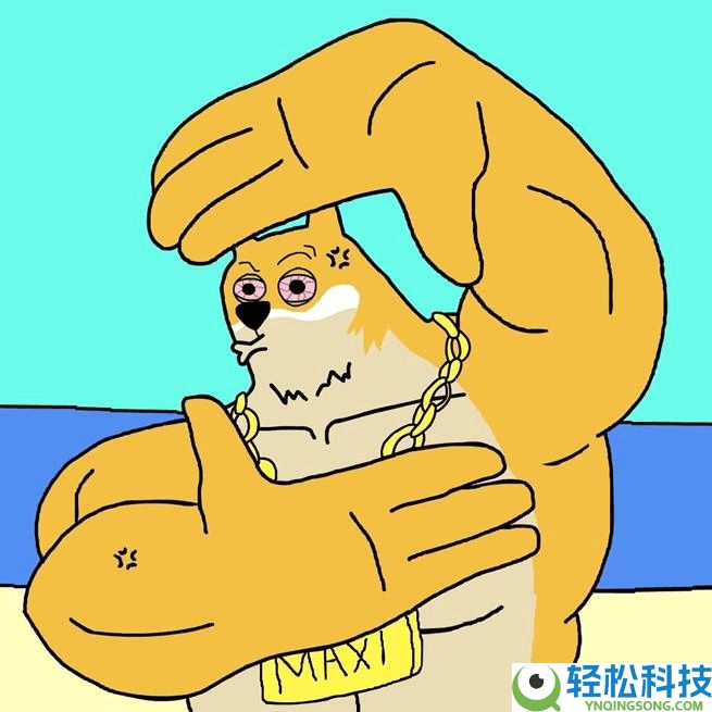 Maxi Doge（MAXI）币是什么？未来会上涨吗？MAXI 代币指南、价格预测