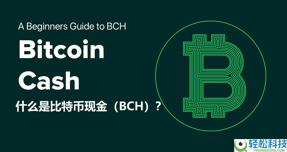 什么是比特币现金（BCH）？如何运作、未来如何？如何购买BCH？