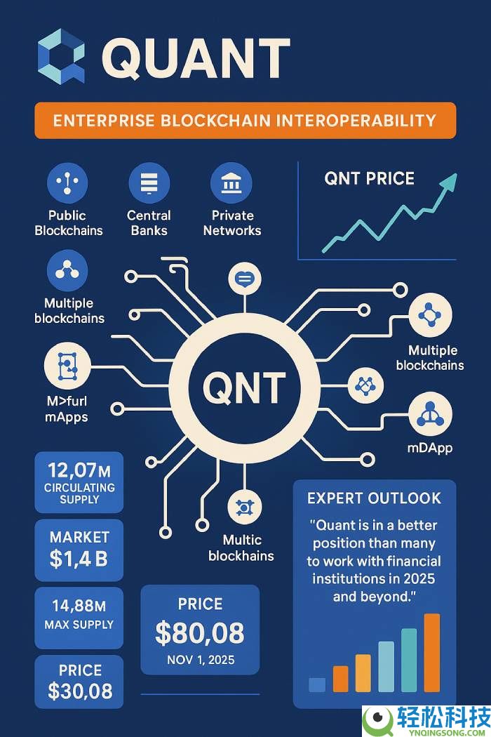 Quant (QNT)币是什么? 实时加密货币概览和美元价格(2025 年更新)