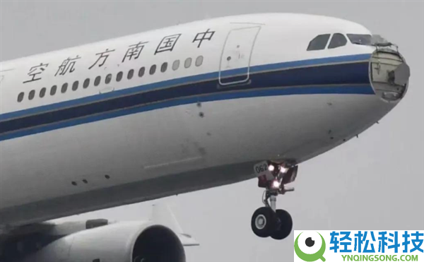 雷达罩疑零落,上海飞深圳航班遭鸟击告急出航 南航传递