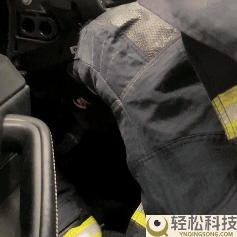 车里钻入超凶大老鼠 消防员手套都被咬穿 一查原来是竹鼠