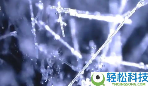 结果严重,男孩玩灭火毯全身扎满超细玻璃纤维