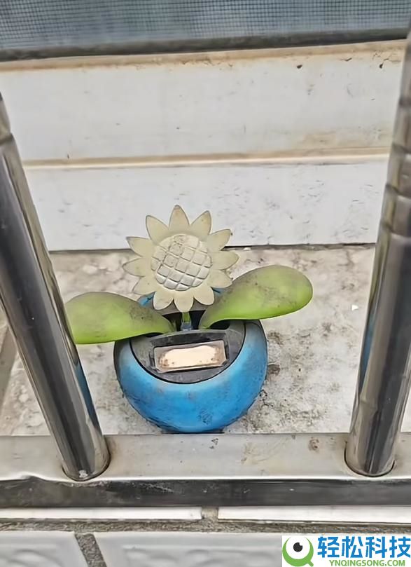 男人时隔多年返乡：发现10年前的玩具仍在扭捏