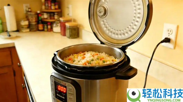 电饭煲保温为什么不能超4小时 细菌与致癌风险大增