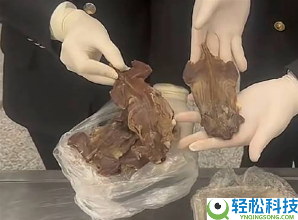 海关查出6只老鼠干,检出3种细菌1种寄生虫 当事人：用来吃的