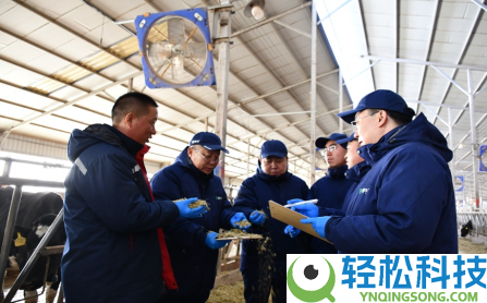 蒙牛的“定力”与“生机”：一场为周期反转铺路的才能重构