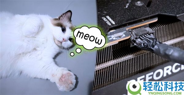 一只猫及时发现RTX 4090显卡销毁冒烟：救了主人一命,