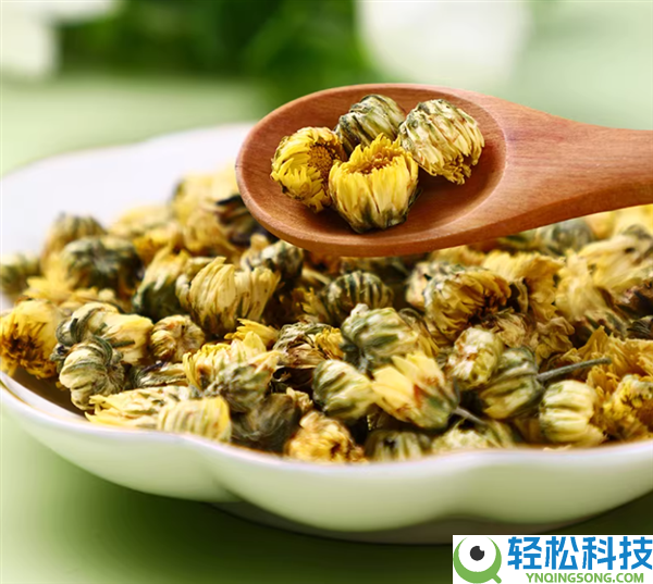 朵朵丰满 茶汤透亮,富昌胎菊13.3元2瓶大促
