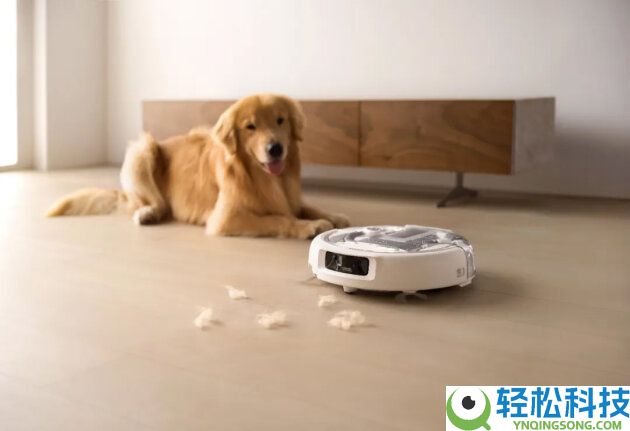 滚筒、履带、圆盘......本年618扫地机的风刮向谁？