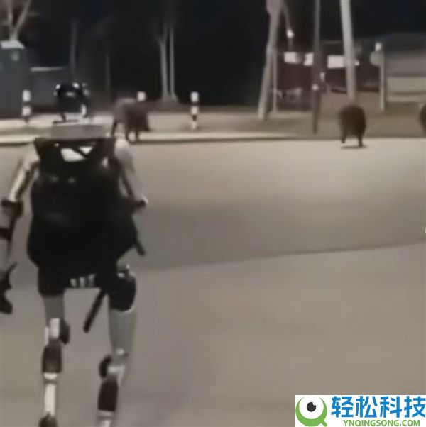 国产机械人波兰陌头显身手,宇树机械人成功吓退3头野猪