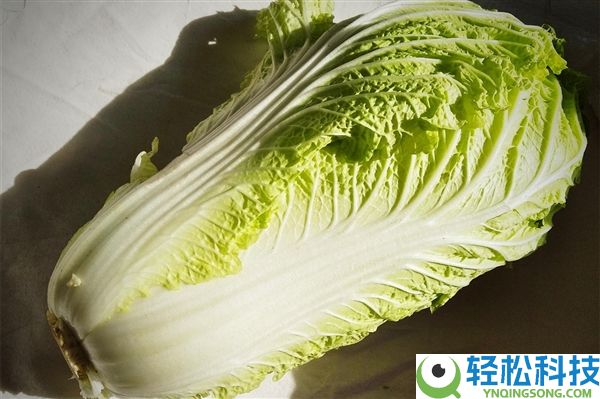 食斋不等于热量低,你认为吃的是素菜其实满是油脂