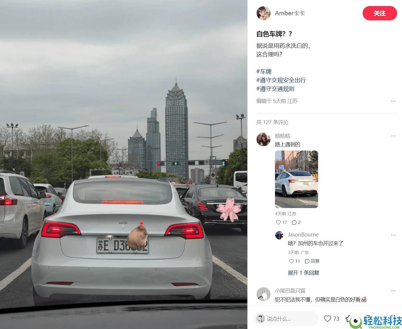 新动力车牌“退色”成潮水？交管部分发声：擅自改色属守法,