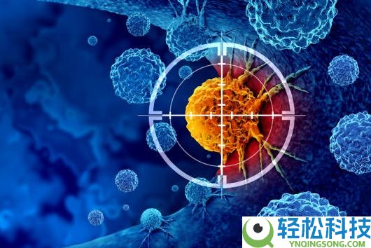 24岁抗癌博主徐安全作古:发现时就是晚期了