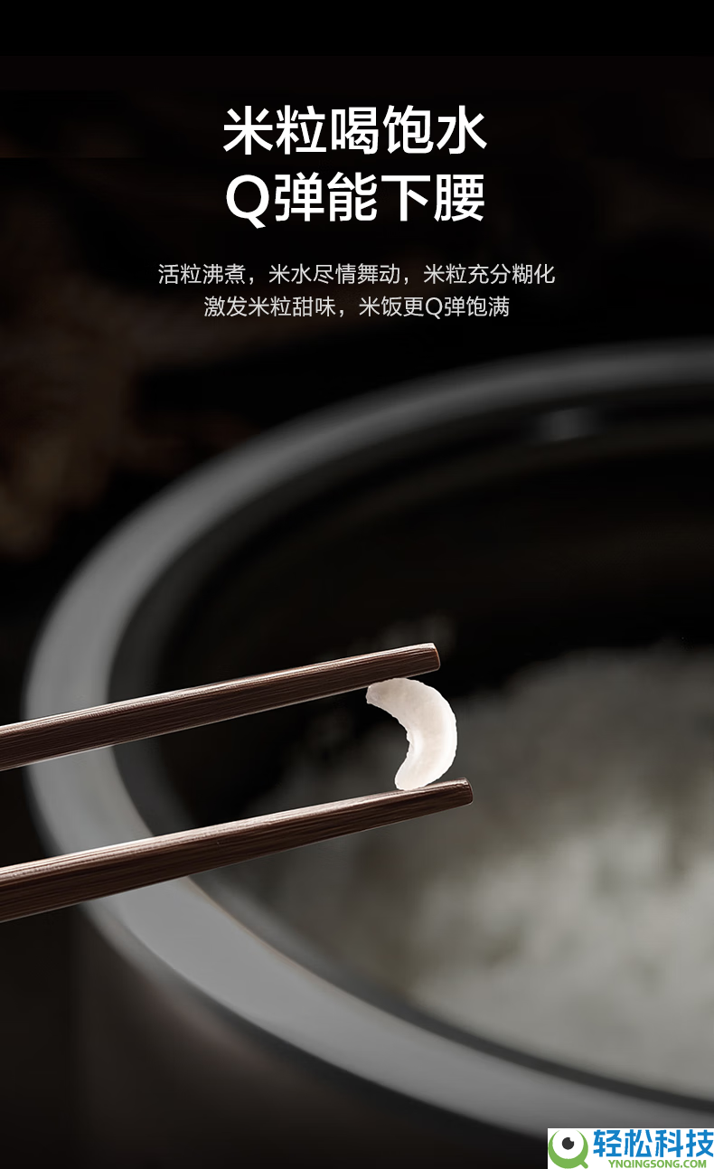 别再被忽悠?2026年高端电饭煲选购技能,附TOP6榜单,闭眼冲,