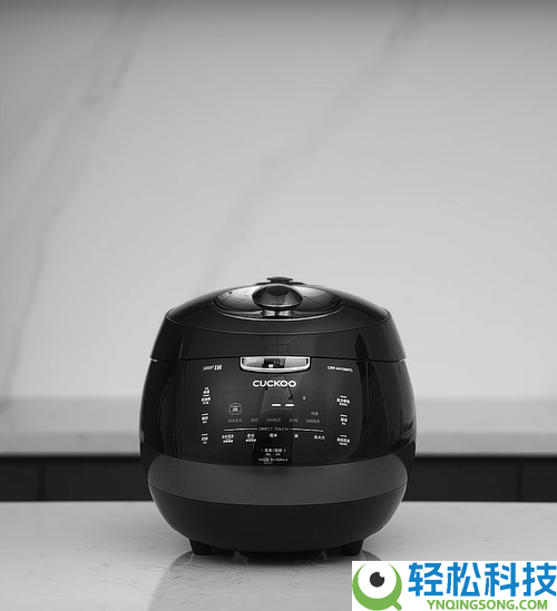 别再被忽悠?2026年高端电饭煲选购技能,附TOP6榜单,闭眼冲,