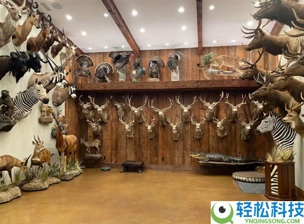 猎手反成猎物,美国富豪斥巨资非洲打猎 被5头大象踩踏身亡