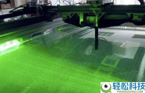 细密的水下雷达居然就长在海豹脸上 科学家直呼“真香”,