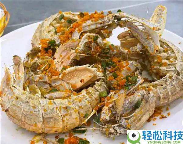 4只皮皮虾1035元 当事人删视频否认想吃白食引热议:近邻海鲜店发声了