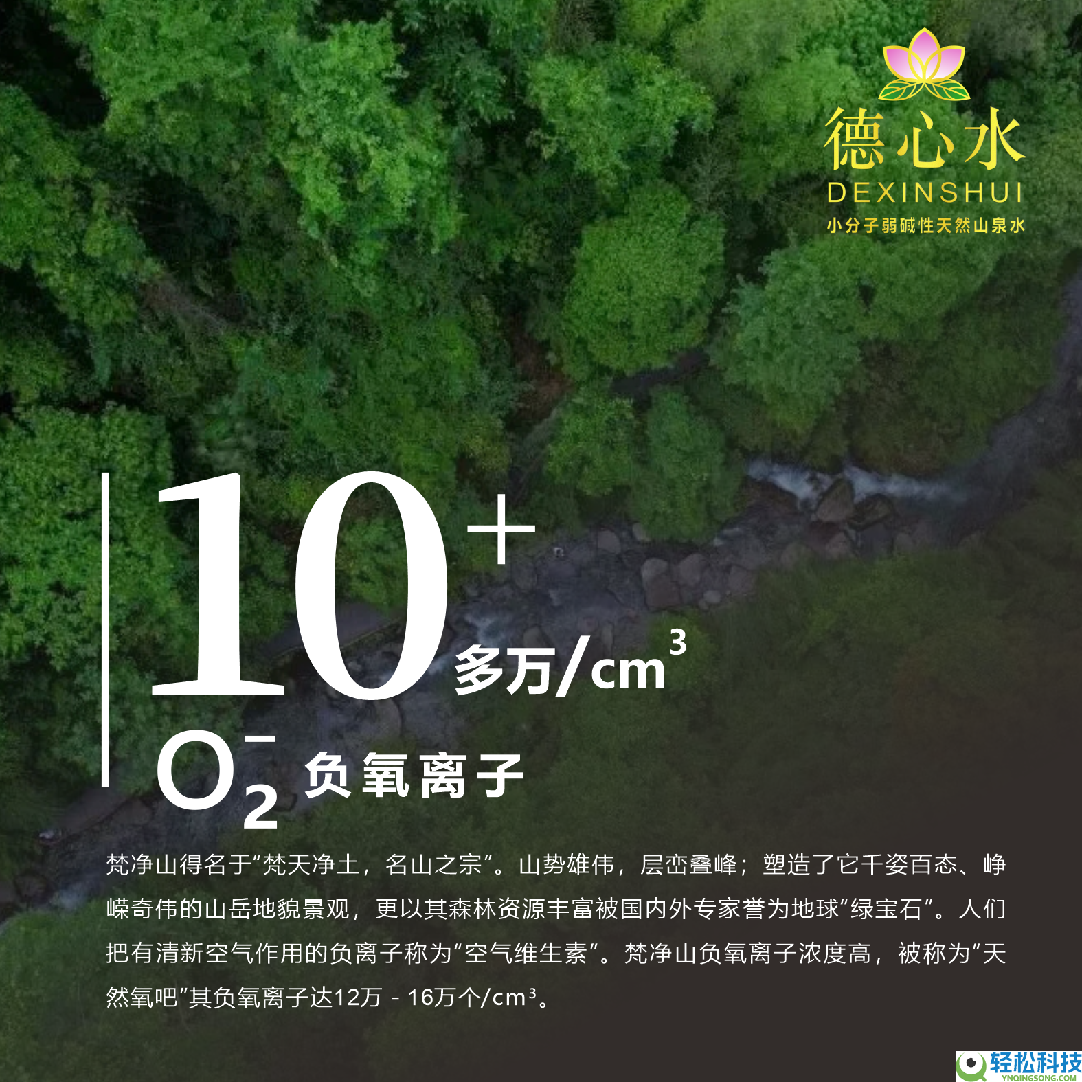源自梵净山珍爱水源,德心水小份子弱碱性山泉水12.9元12瓶