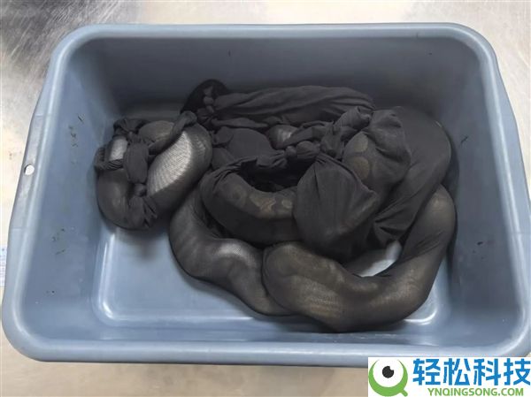 太离谱,男人用黑丝将8条活蛇绑腰长进境被查 6条是濒危物种