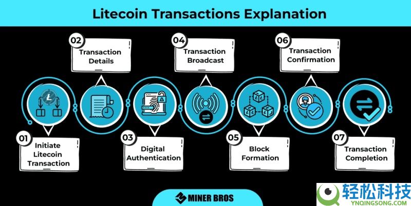 莱特币(LTC)vs比特币(BTC):有何区别?交易速度,费用和发展前景对比