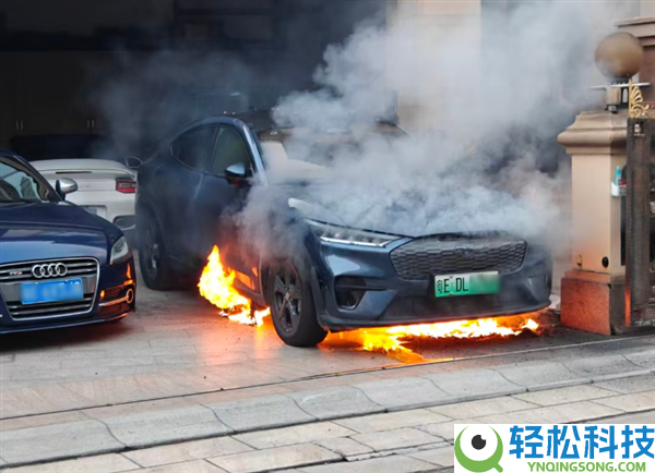 别墅车库一台福特电马起火熄灭 差点殃及保时捷TruboS和疾驰V级