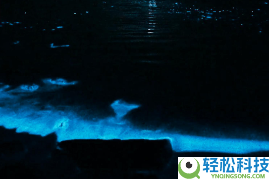 “蓝眼泪”提早退场,福建进入最好欣赏期 相逢活动蓝色银河
