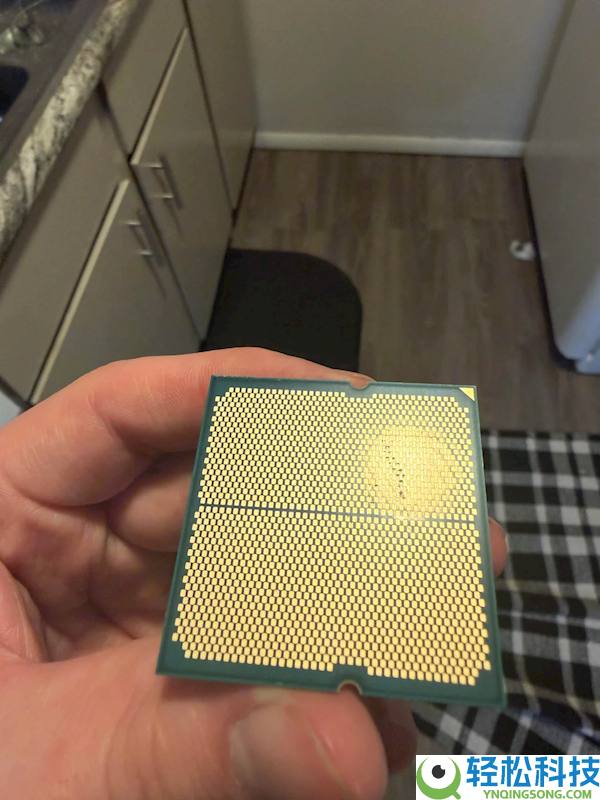 第一次见：锐龙7 7700X竟然被狗吃了,