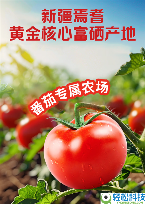 配料只要番茄 茄汁面绝配,新疆番茄酱罐头发车：7.5元