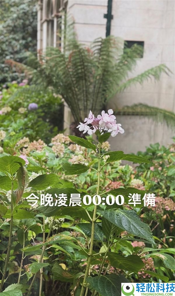 新专辑终究来了,周杰伦发文：今晚0点筹办