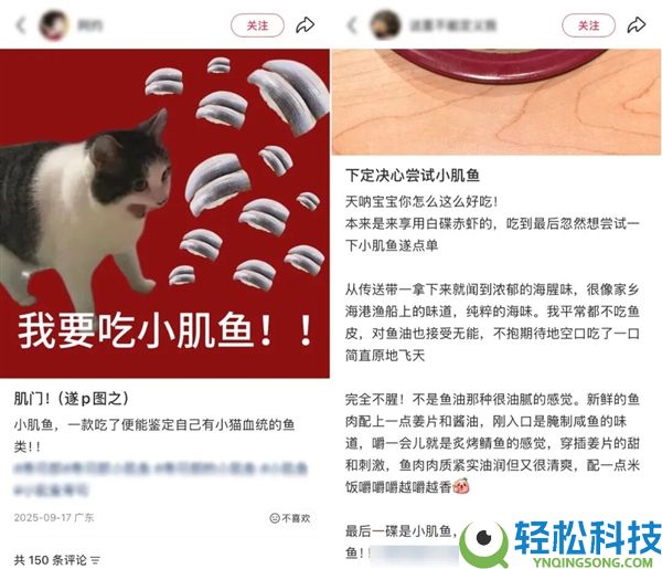 它被网友称为“最恶毒的鱼” 养分师却建议多吃