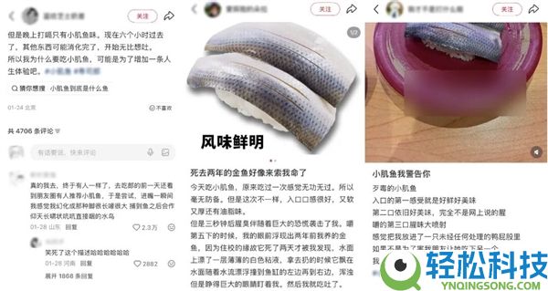 它被网友称为“最恶毒的鱼” 养分师却建议多吃