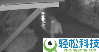 140万保时捷被盗,警方2小时追回 荒唐窃贼：找代驾开去前女友家夸耀
