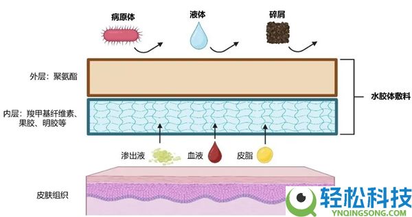 伤口“晾干”好 仍是“保湿”好？良多人都不晓得