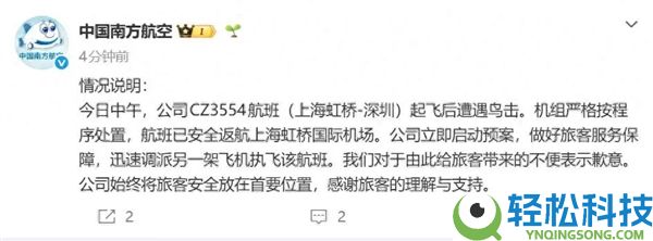 雷达罩疑零落,上海飞深圳航班遭鸟击告急出航 南航传递