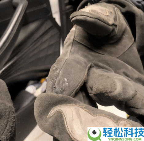 车里钻入超凶大老鼠 消防员手套都被咬穿 一查原来是竹鼠