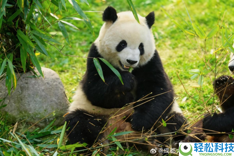 春假亲子出游目标地TOP10发布：厦门园博苑花灯乐园当选全国抢手亲子打卡地