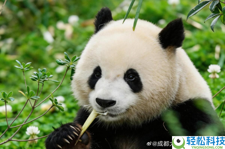 春假亲子出游目标地TOP10发布：厦门园博苑花灯乐园当选全国抢手亲子打卡地