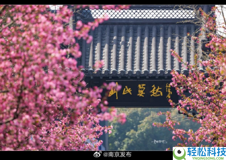 春假亲子出游目标地TOP10发布：厦门园博苑花灯乐园当选全国抢手亲子打卡地