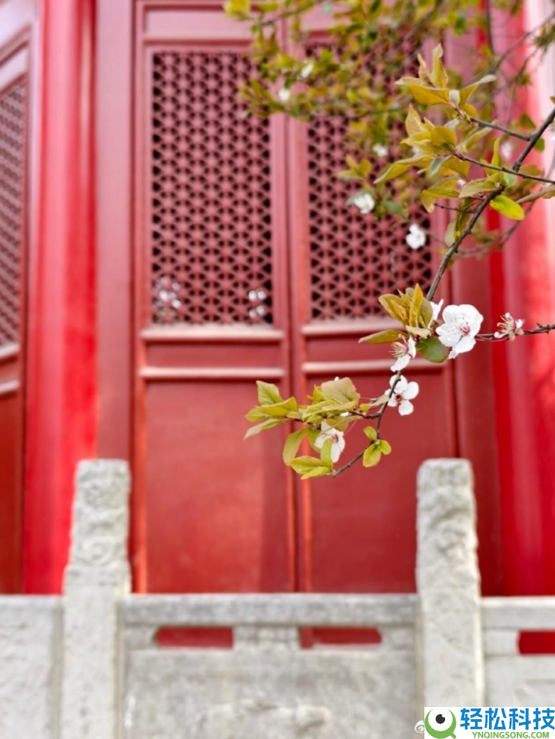 春假亲子出游目标地TOP10发布：厦门园博苑花灯乐园当选全国抢手亲子打卡地