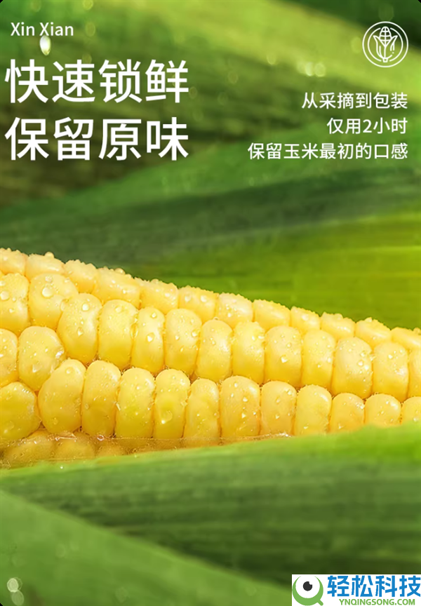 正宗东北玉米 甜度高：啃糯东北黄金糯玉米9.9元5棒大促
