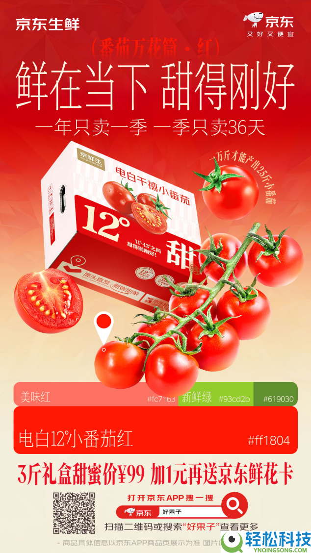 400颗中出一颗、一年只卖36天,京东生鲜行业首发电白千禧12°小番茄