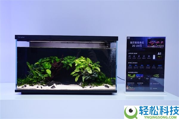 当贝鱼缸2S Ultra发布倒计时1天：AI智能鱼缸的最终谜底来了