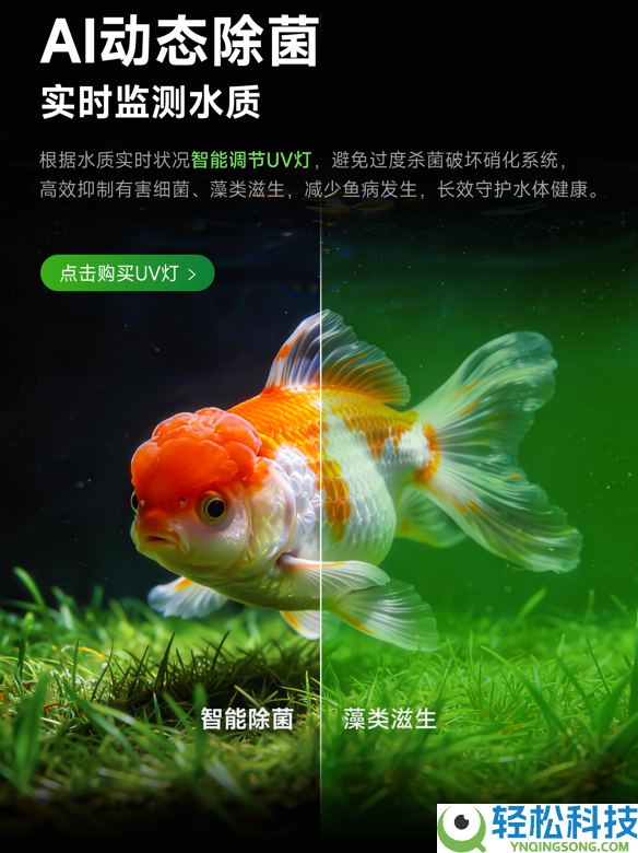 智能鱼缸哪个好？当贝鱼缸2S Ultra用AI处理养鱼一切困难