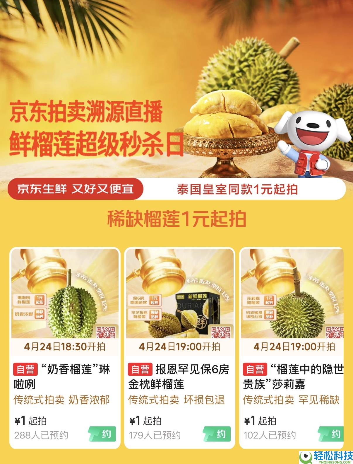 不但是量大管饱：从皇室同款到保5房,京东生鲜经过海外直采给花费者“榴莲自在”