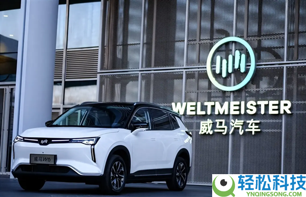 百元捡漏亿级债务,威马汽车1.3亿债务低价开拍：真实性全无保证